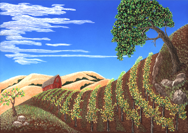 Vinyard with Red Barn
