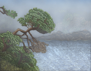 Coastal Pine