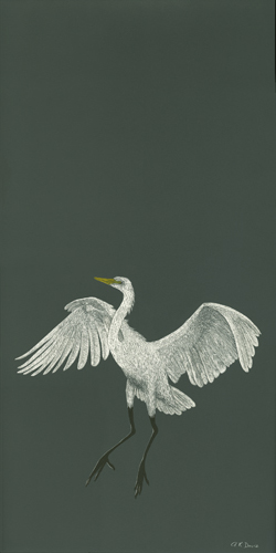Egret Landing in Grey