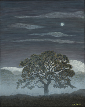 Fog Caressed Oak