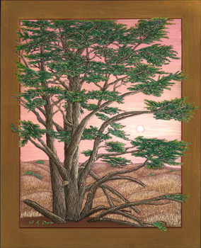Moonlit Cypress