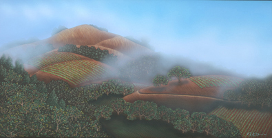 Evening Fog on Vinyard