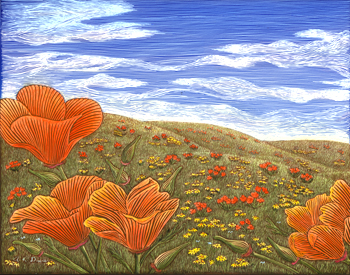 Spring Poppies!