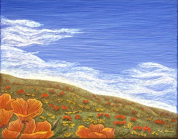 Spring Poppies!2