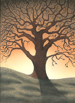  Sunset Oak