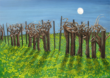 Old Vines