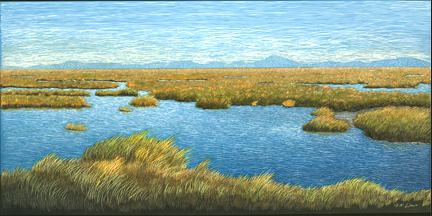 Coastal Wetlands