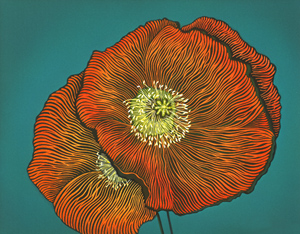 California Poppy