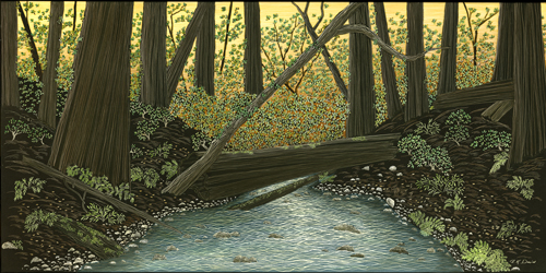 "Redwood Creek"