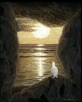 Sunset Thru the Rocks