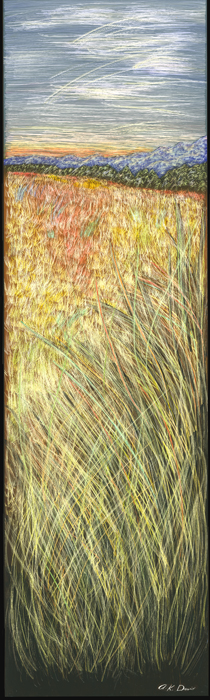Tall Golden Grass