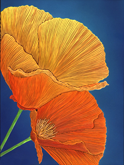 Yellow/Orange Poppies