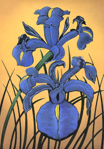 Blue Iris