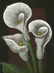 3 Calla Lilies